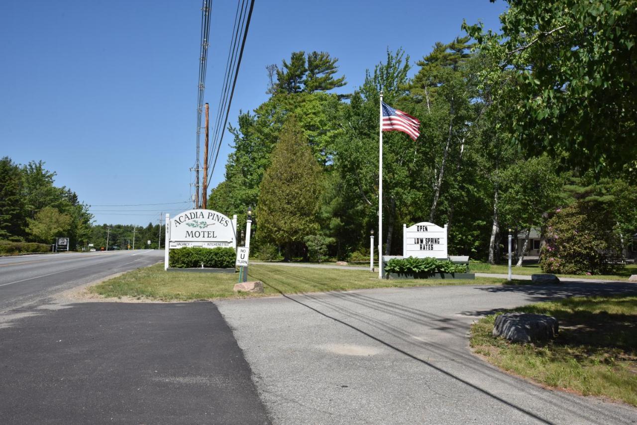 Acadia Pines Motel Bar Harbor Dış mekan fotoğraf